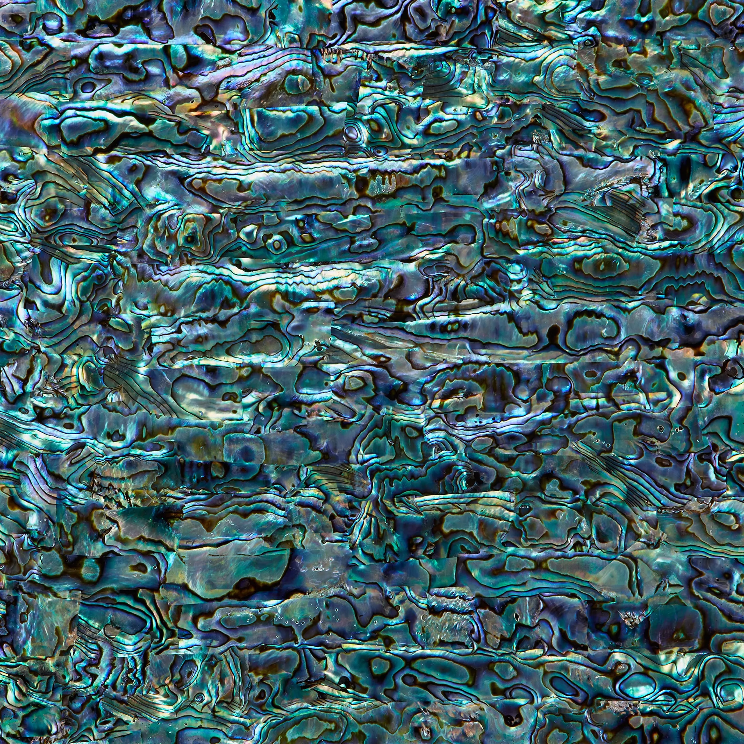 Abalone Shell Inlay Veneer for DIY or Professional Inlay Embellishments - Sustainable New Zealand Paua Natural- With 3M Double S